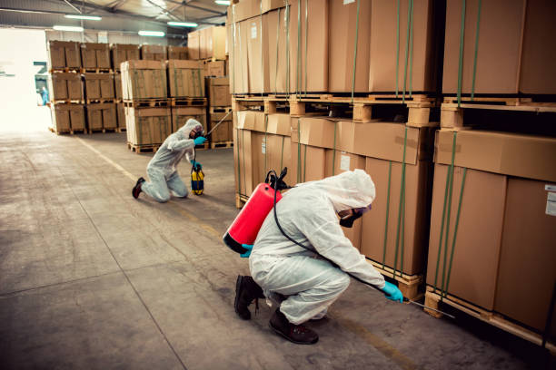 Best Wasp Removal Services  in Dunlap, OH