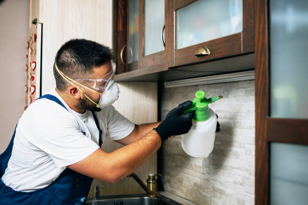 Best Commercial Pest Control Services  in Dunlap, OH