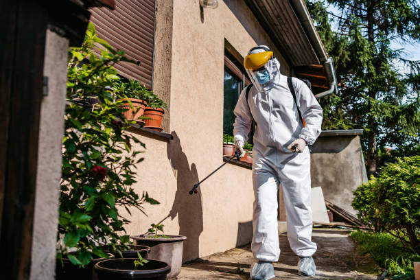 Best Pest Control for Restaurants  in Dunlap, OH