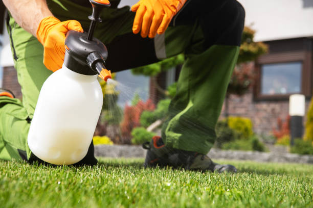 Best Bed Bug Extermination  in Dunlap, OH