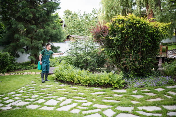 Best Pest Inspection Near Me  in Dunlap, OH