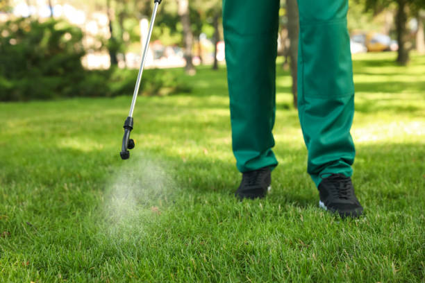 Best Pest Removal Services  in Dunlap, OH