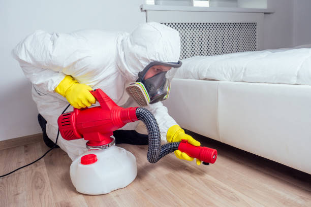 Best Pest Prevention Services  in Dunlap, OH