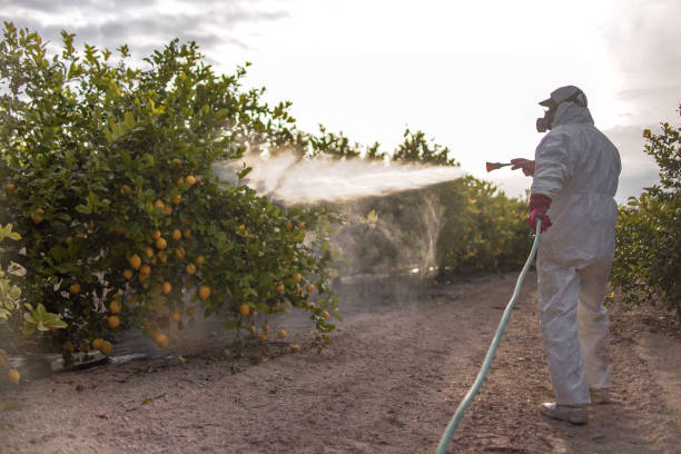 Pest Control for Restaurants in Dunlap, OH