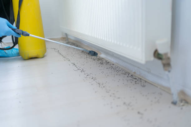 Best Pest Control Near Me  in Dunlap, OH