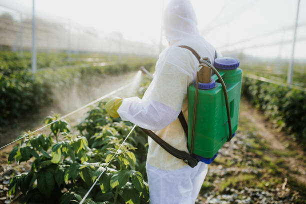 Best Flea Control Services  in Dunlap, OH